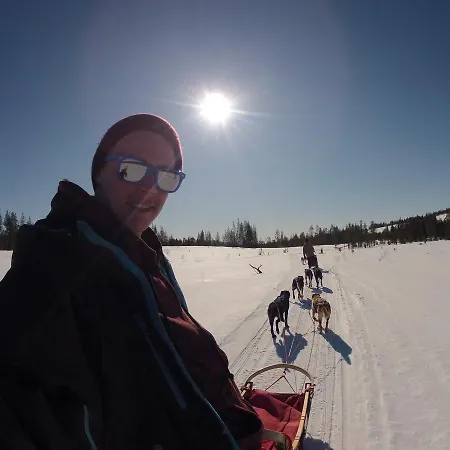 Hotel Beana Laponia - Wilderness Boutique With Safaris Meltaus