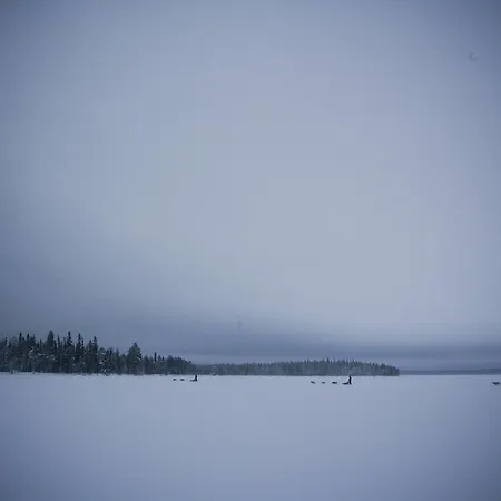 Beana Laponia - Wilderness Boutique With Safaris Meltaus