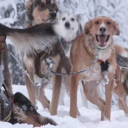 Beana Laponia - Wilderness Boutique With Safaris 4*