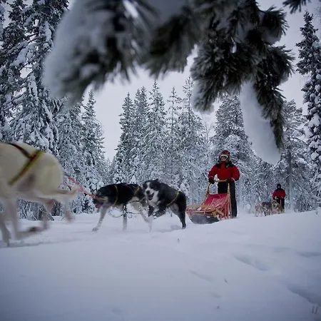 Beana Laponia - Wilderness Boutique With Safaris Hotel 4*