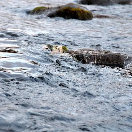 Beana Laponia - Wilderness Boutique With Safaris Meltaus