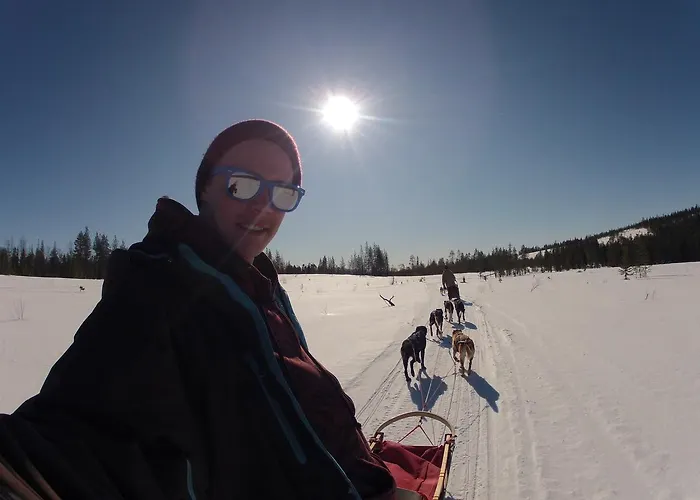 Hotelli Beana Laponia - Wilderness Boutique With Safaris Meltaus