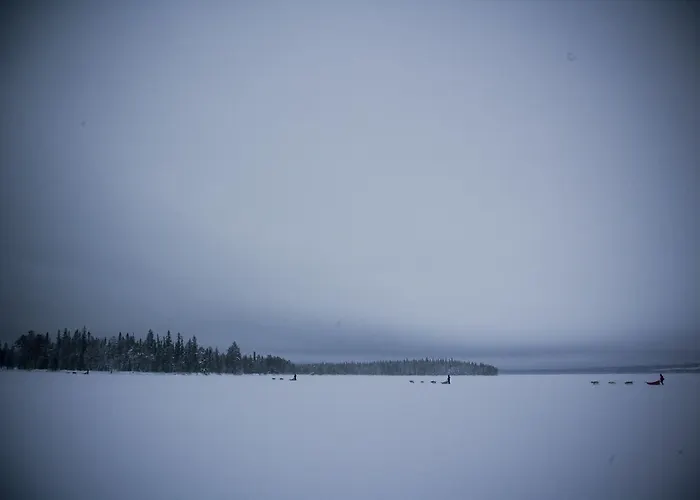 Beana Laponia - Wilderness Boutique With Safaris Meltaus