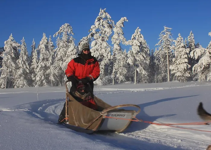 Beana Laponia - Wilderness Boutique With Safaris Hotelli 4*