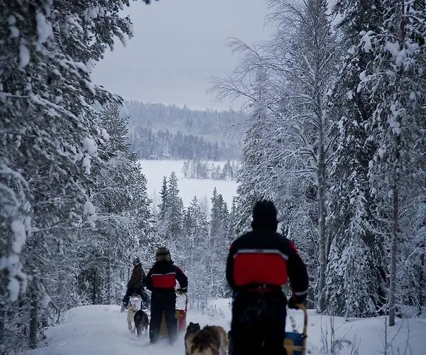 Beana Laponia - Wilderness Boutique With Safaris Hotelli Meltaus