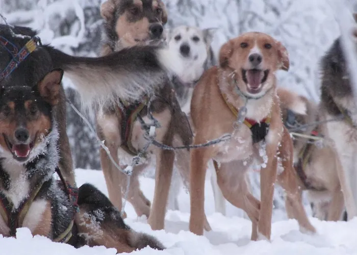 Beana Laponia - Wilderness Boutique With Safaris 4*