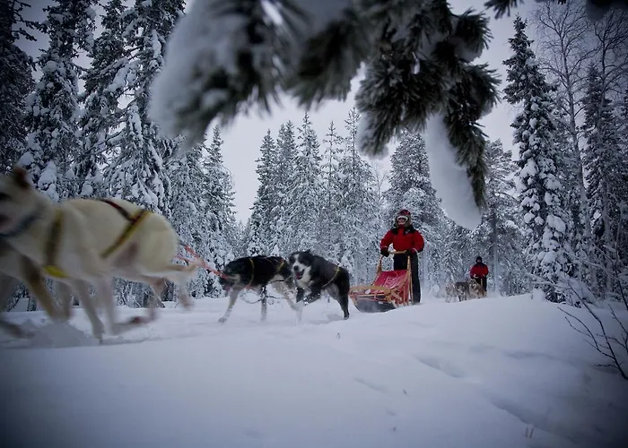 Beana Laponia - Wilderness Boutique With Safaris Hotelli 4*