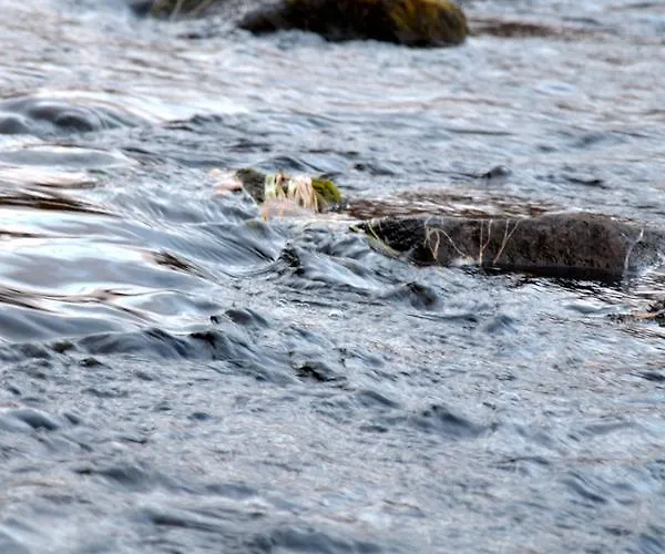 Beana Laponia - Wilderness Boutique With Safaris Meltaus