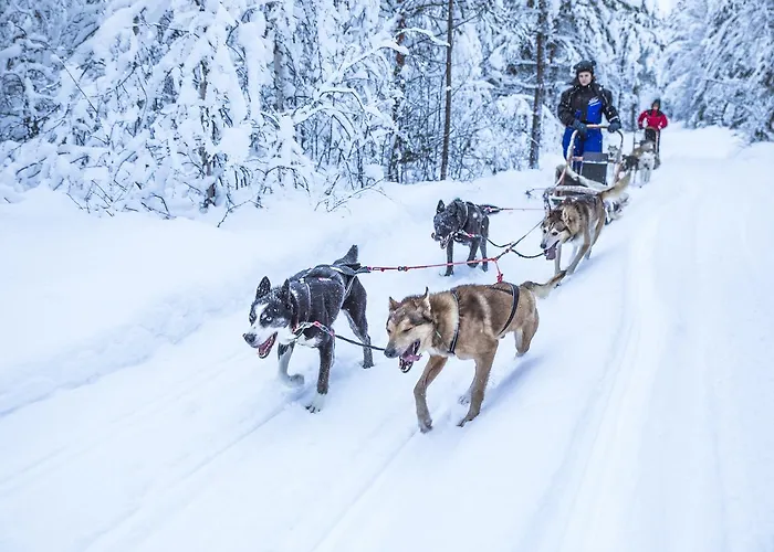 Beana Laponia - Wilderness Boutique With Safaris 4* Meltaus